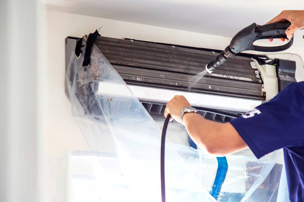 Best Air Duct Mold Removal  in Sheffield, AL